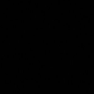 Meet your Posher, Juliet